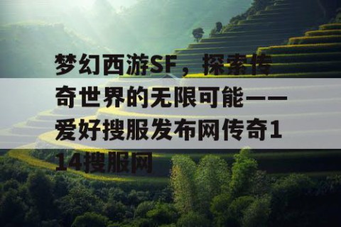 梦幻西游SF，探索传奇世界的无限可能——爱好搜服发布网传奇114搜服网