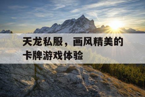 天龙私服，画风精美的卡牌游戏体验