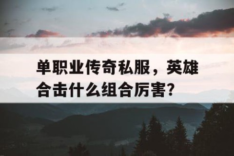 单职业传奇私服，英雄合击什么组合厉害？