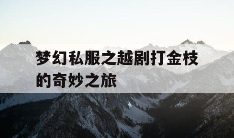 梦幻私服之越剧打金枝的奇妙之旅