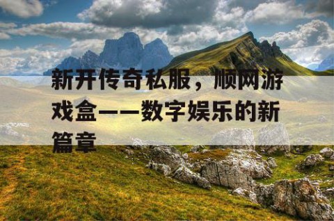 新开传奇私服，顺网游戏盒——数字娱乐的新篇章