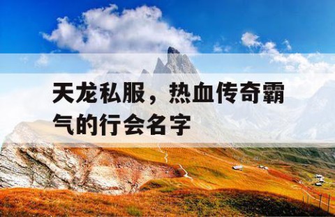 天龙私服，热血传奇霸气的行会名字