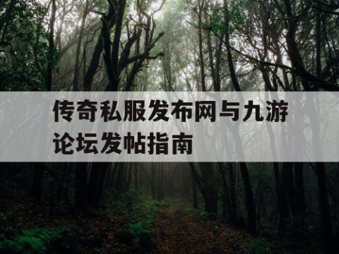 传奇私服发布网与九游论坛发帖指南