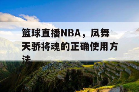 篮球直播NBA,凤舞天骄将魂的正确使用方法