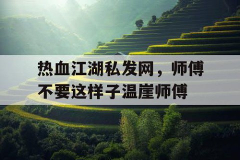热血江湖私发网，师傅不要这样子温崖师傅