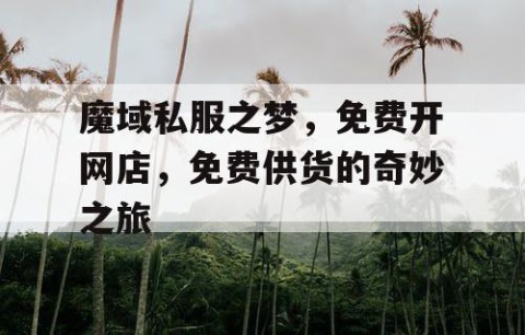 魔域私服之梦，免费开网店，免费供货的奇妙之旅