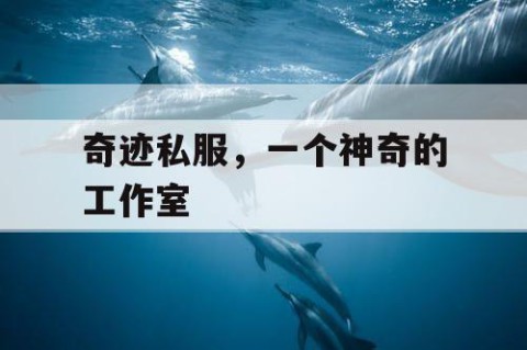 奇迹私服，一个神奇的工作室