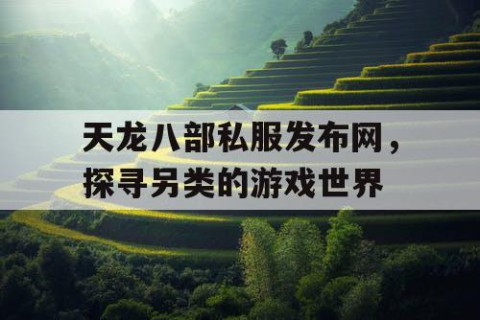 天龙八部私服发布网，探寻另类的游戏世界