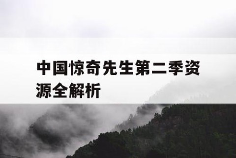 中国惊奇先生第二季资源全解析