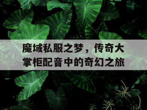 魔域私服之梦，传奇大掌柜配音中的奇幻之旅
