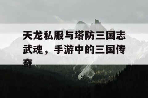 天龙私服与塔防三国志武魂，手游中的三国传奇