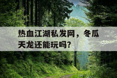 热血江湖私发网，冬瓜天龙还能玩吗？