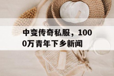 中变传奇私服，1000万青年下乡新闻