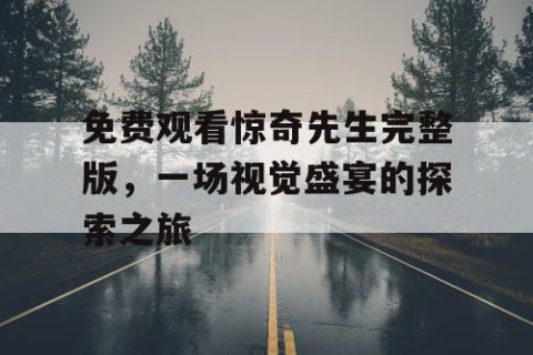 免费观看惊奇先生完整版，一场视觉盛宴的探索之旅