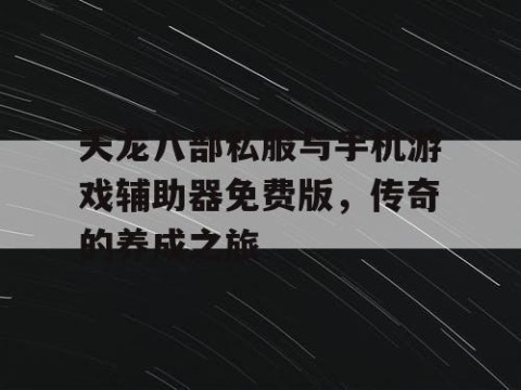 天龙八部私服与手机游戏辅助器免费版，传奇的养成之旅