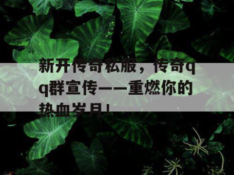 新开传奇私服，传奇qq群宣传——重燃你的热血岁月！