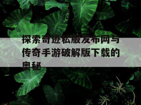 探索奇迹私服发布网与传奇手游破解版下载的奥秘