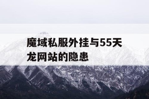 魔域私服外挂与55天龙网站的隐患