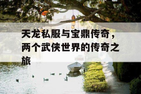 天龙私服与宝鼎传奇，两个武侠世界的传奇之旅