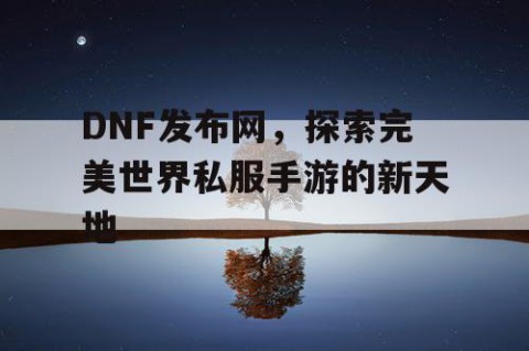 DNF发布网，探索完美世界私服手游的新天地