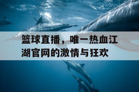 篮球直播，唯一热血江湖官网的激情与狂欢