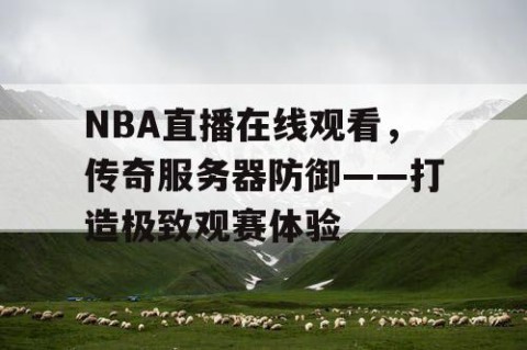 NBA直播在线观看,传奇服务器防御——打造极致观赛体验