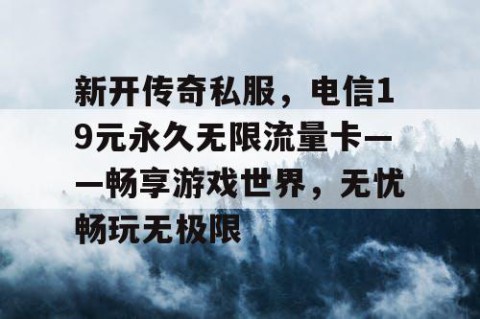 新开传奇私服，电信19元永久无限流量卡——畅享游戏世界，无忧畅玩无极限