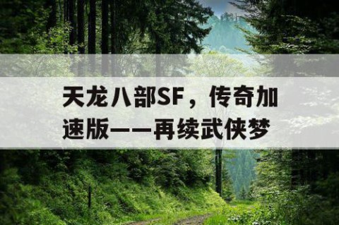 天龙八部SF，传奇加速版——再续武侠梦