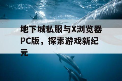 地下城私服与X浏览器PC版，探索游戏新纪元