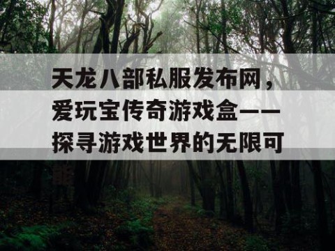 天龙八部私服发布网，爱玩宝传奇游戏盒——探寻游戏世界的无限可能