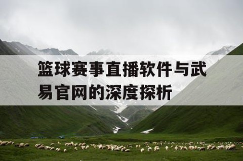 篮球赛事直播软件与武易官网的深度探析
