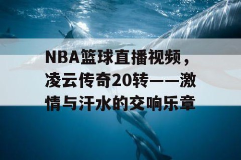 NBA篮球直播视频,凌云传奇20转——激情与汗水的交响乐章