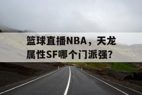 篮球直播NBA，天龙属性SF哪个门派强？