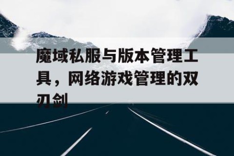 魔域私服与版本管理工具，网络游戏管理的双刃剑