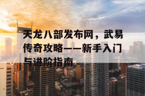 天龙八部发布网，武易传奇攻略——新手入门与进阶指南