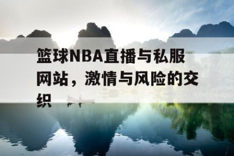 篮球NBA直播与私服网站,激情与风险的交织