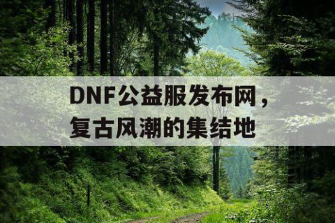 DNF公益服发布网，复古风潮的集结地