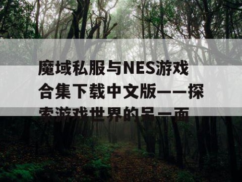 魔域私服与NES游戏合集下载中文版——探索游戏世界的另一面
