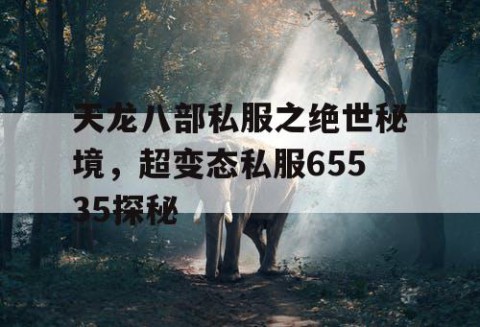 天龙八部私服之绝世秘境，超变态私服65535探秘