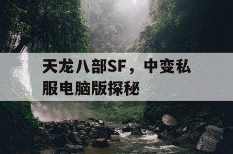 天龙八部SF，中变私服电脑版探秘