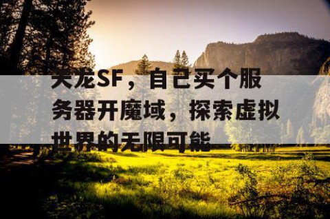 天龙SF，自己买个服务器开魔域，探索虚拟世界的无限可能