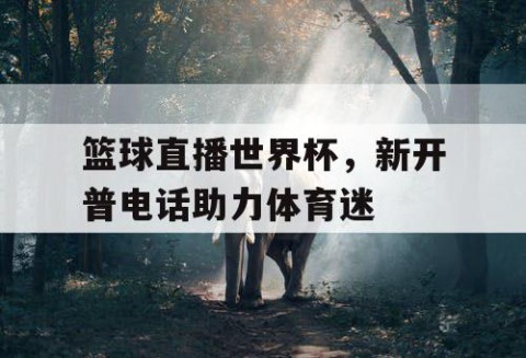 篮球直播世界杯,新开普电话助力体育迷