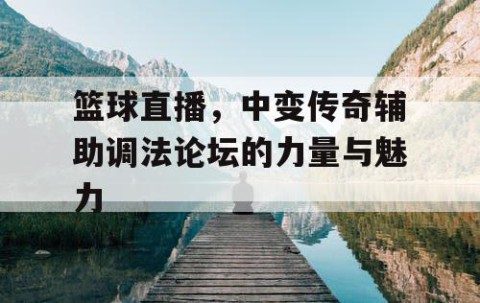 篮球直播，中变传奇辅助调法论坛的力量与魅力