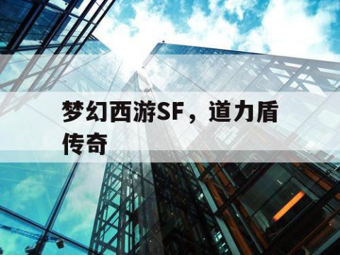 梦幻西游SF，道力盾传奇