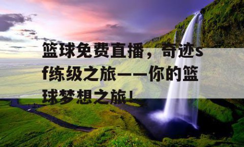 篮球免费直播,奇迹sf练级之旅——你的篮球梦想之旅!