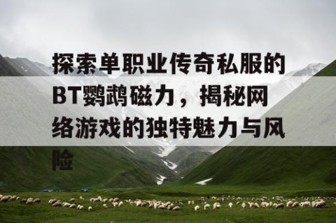 探索单职业传奇私服的BT鹦鹉磁力，揭秘网络游戏的独特魅力与风险