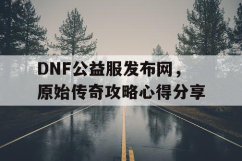 DNF公益服发布网，原始传奇攻略心得分享