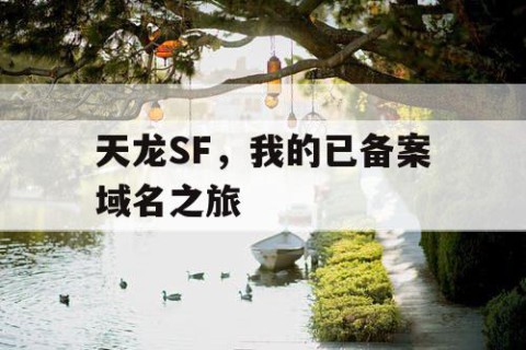 天龙SF，我的已备案域名之旅