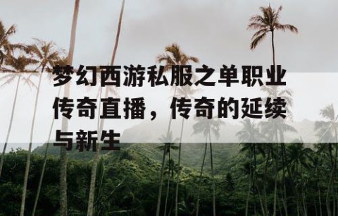 梦幻西游私服之单职业传奇直播，传奇的延续与新生