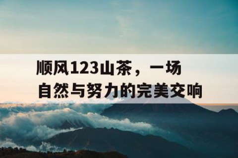 顺风123山茶，一场自然与努力的完美交响